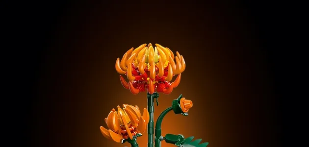 Mô hình chuyên gia tạo hình